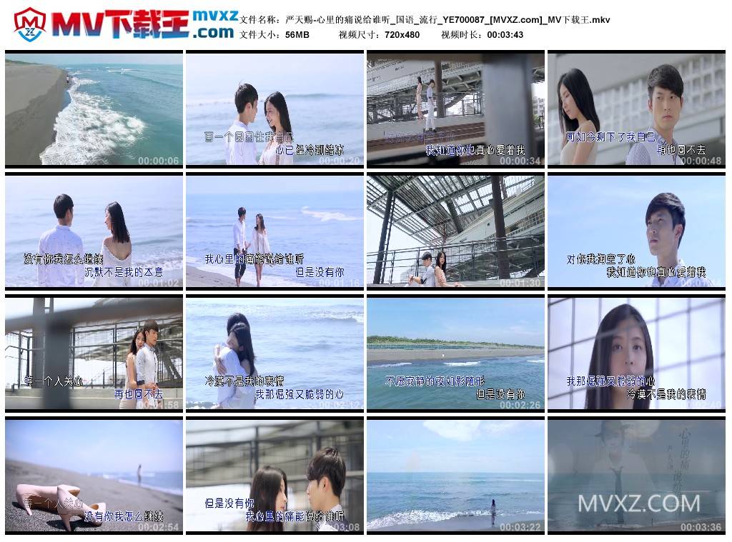 严天赐-心里的痛说给谁听_国语_流行_YE700087